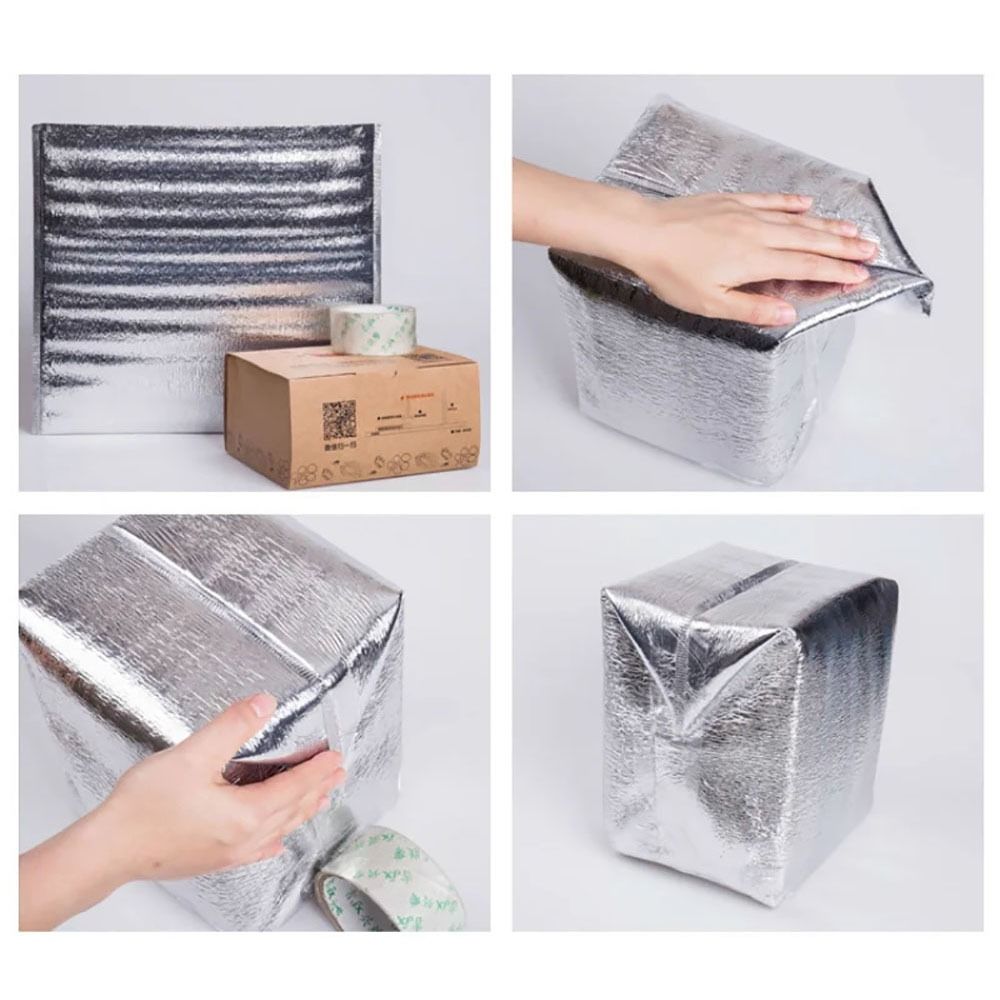 Aluminum Foil Cooler Bag Insul - Food Snacks Delivery ulasan dan harga