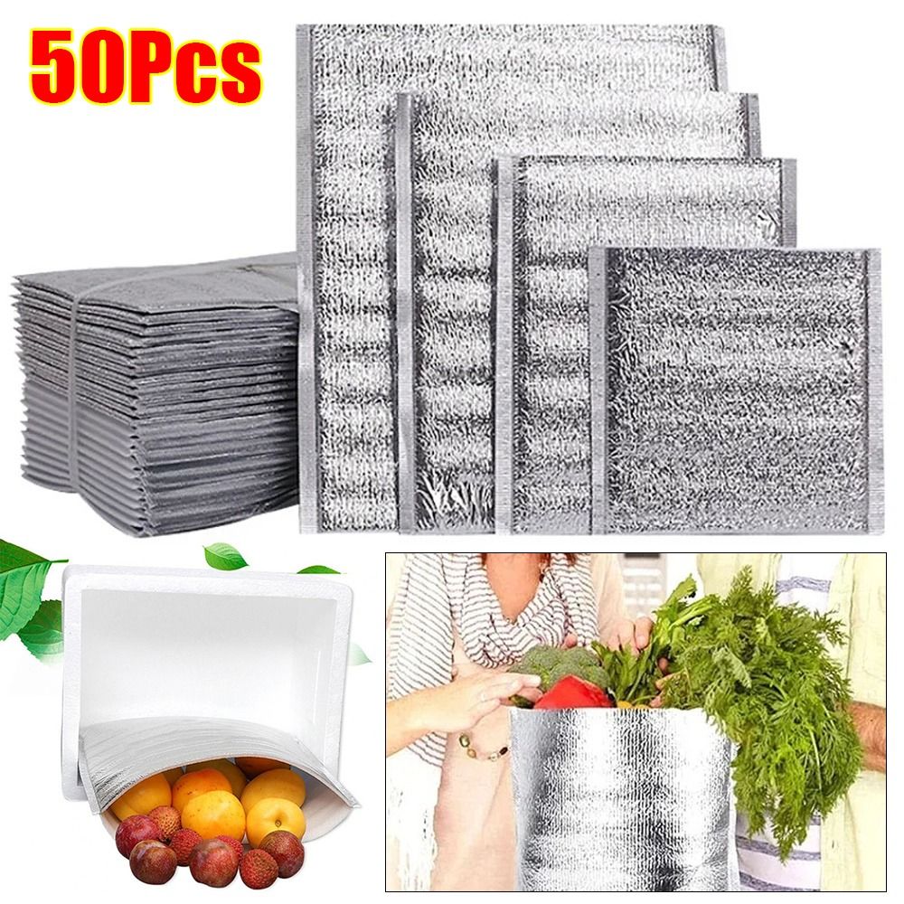 Aluminum Foil Cooler Bag Insul - Food Snacks Delivery ulasan dan harga
