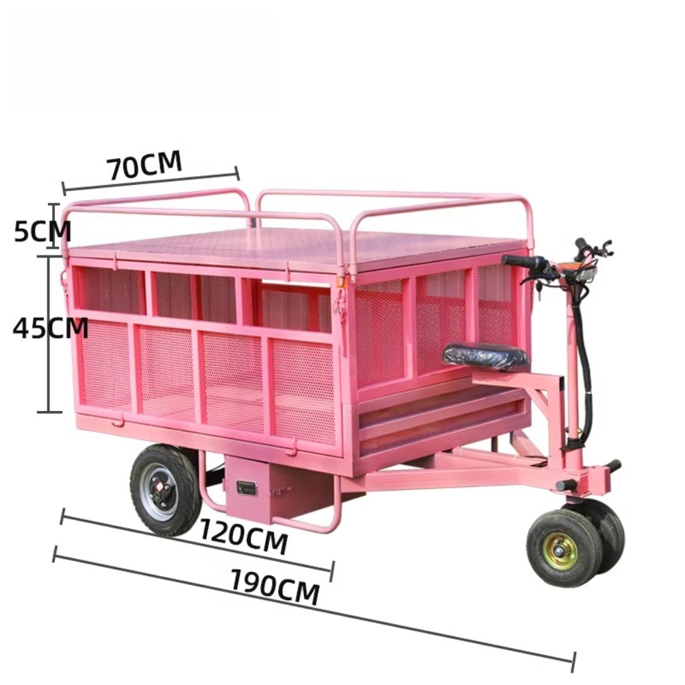 3 Wheel Electric Flat Cart Rev - Snacks Food Stall ulasan dan harga