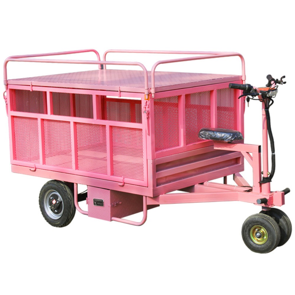 3 Wheel Electric Flat Cart Rev - Snacks Food Stall ulasan dan harga