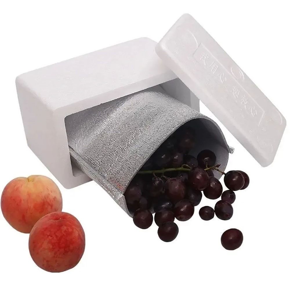 Aluminum Foil Cooler Bag Insul - Food Snacks Delivery ulasan dan harga