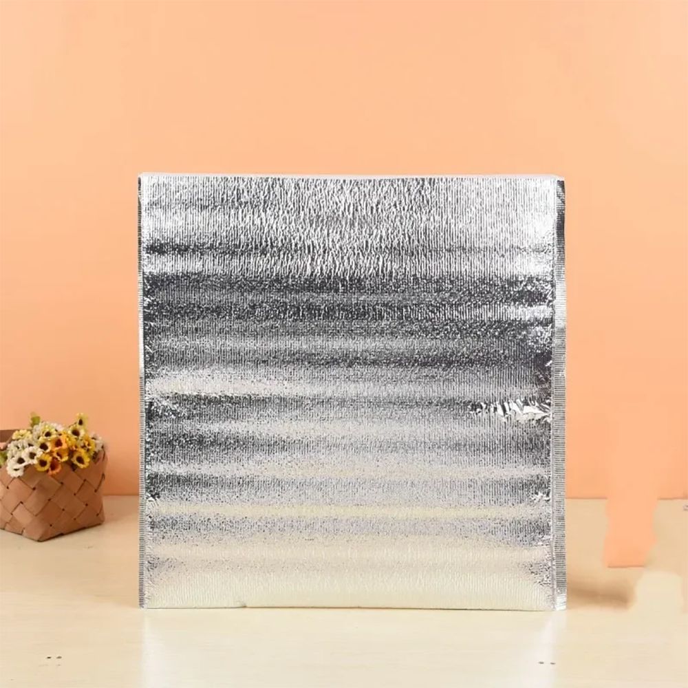 Aluminum Foil Cooler Bag Insul - Food Snacks Delivery ulasan dan harga
